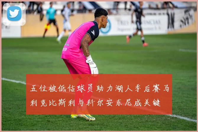 五位被低估球员助力湖人季后赛马利克比斯利与科尔安东尼成关键